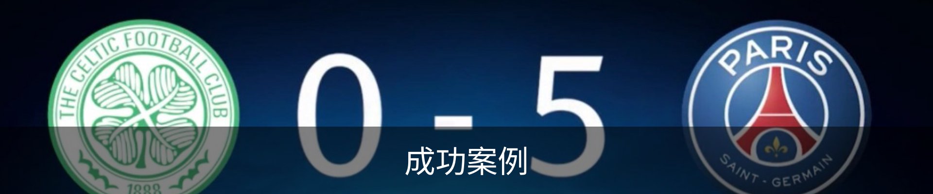 成功案例